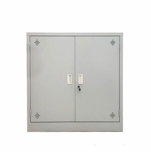 Tủ sắt dáng thấp TST-K2-G